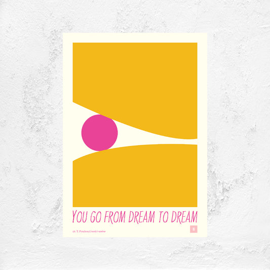 T. PYNCHON - "You go from dream to dream"